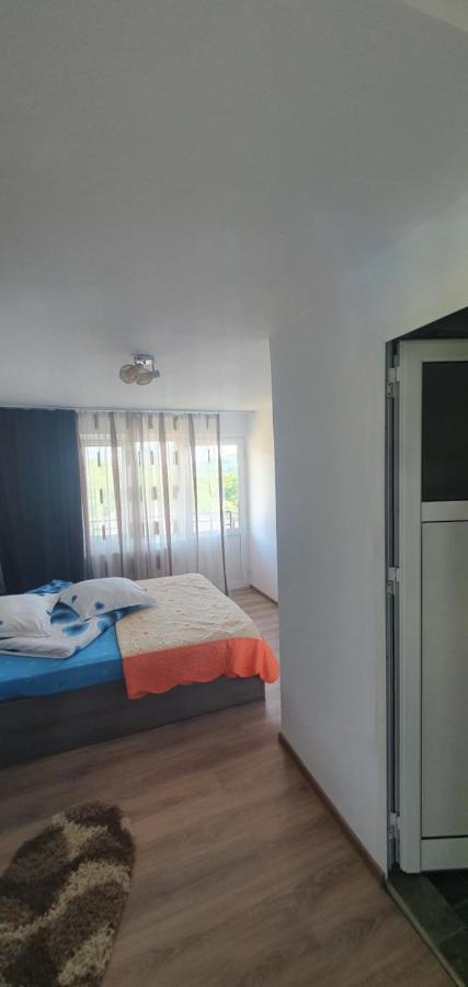 Casa Silvia Hotel Capatineni-Ungureni ภายนอก รูปภาพ